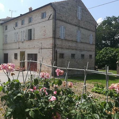 Casa Vacanze Da Peppa Grottazzolina Exterior foto